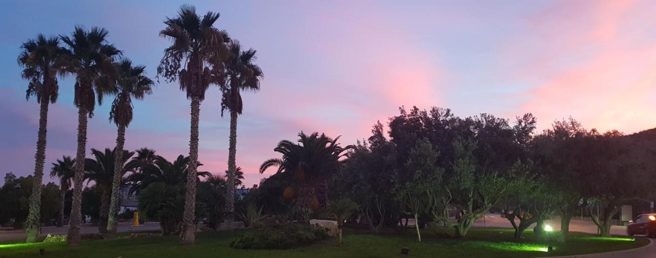 אליקאנטה Chalet Bonalba Golf מראה חיצוני תמונה