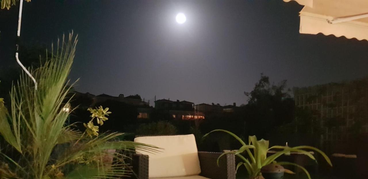 אליקאנטה Chalet Bonalba Golf מראה חיצוני תמונה